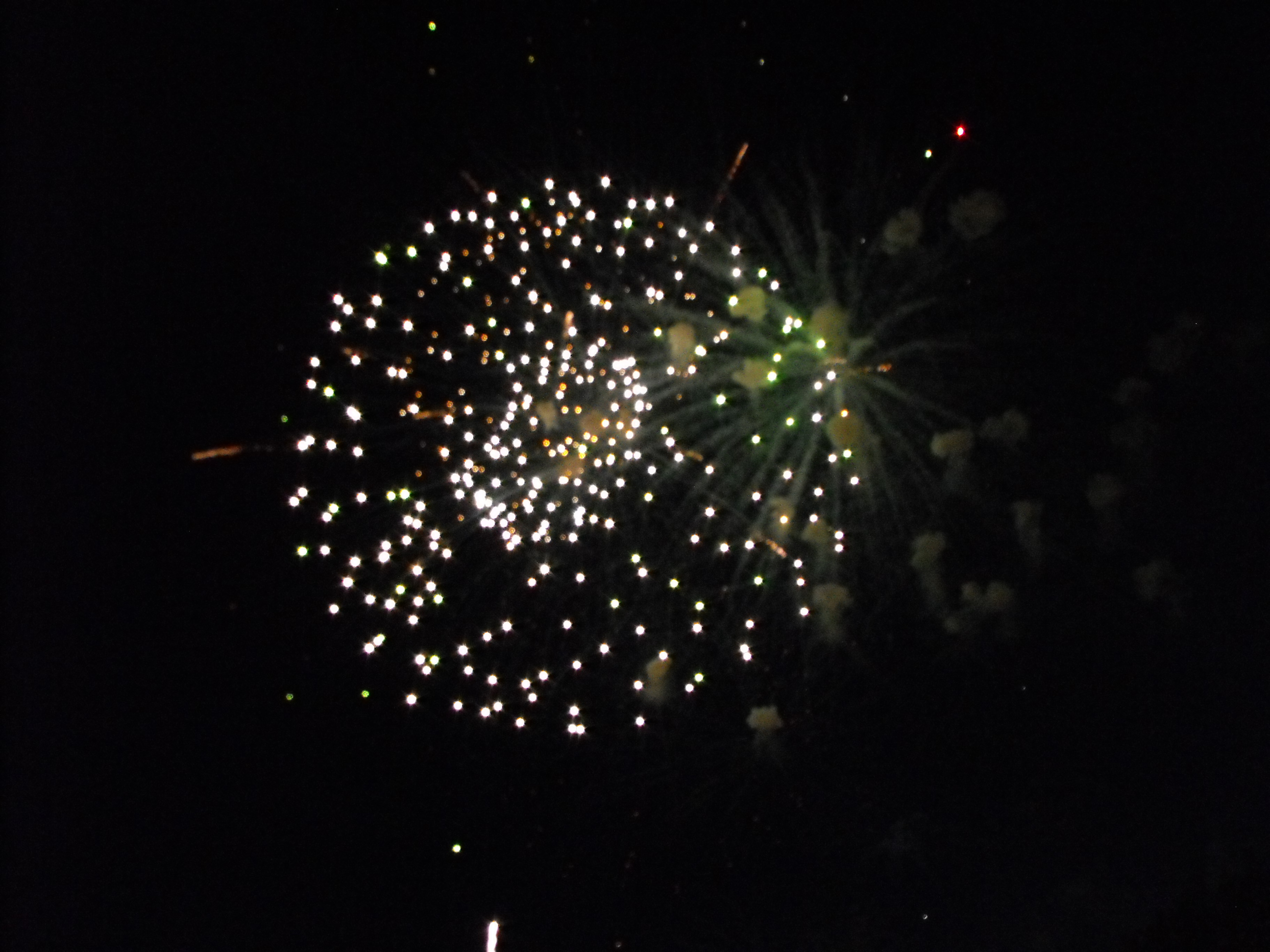 ./2010/Fourth of July/4th July Fireworks Wilm 0008.JPG